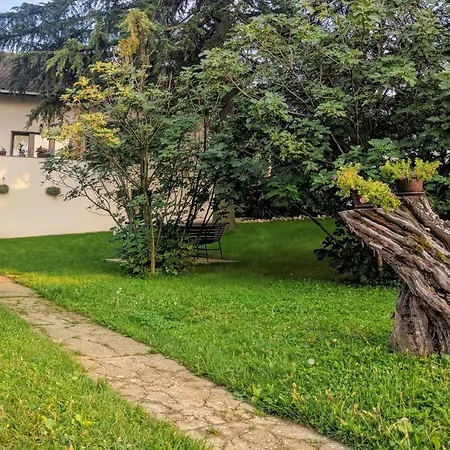 Cvijiceva 1 *